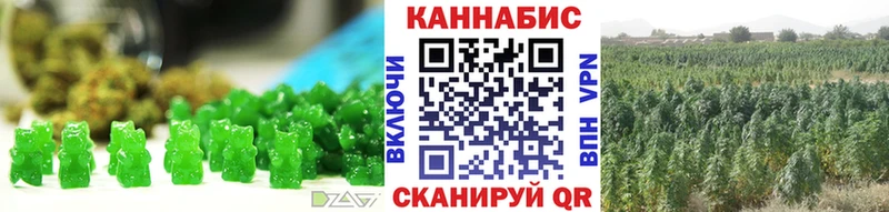 mega tor  Мезень  Cannafood конопля 