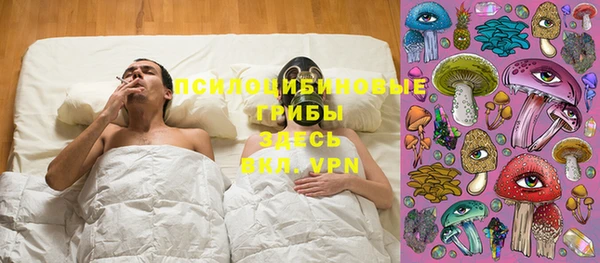 ECSTASY Богданович