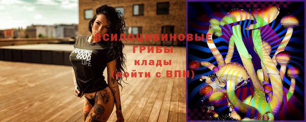 ECSTASY Богданович
